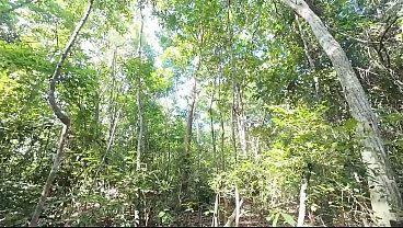 A Thai girl was walking around the forest bragging about picking mu and suddenly had to pee. 4K HD